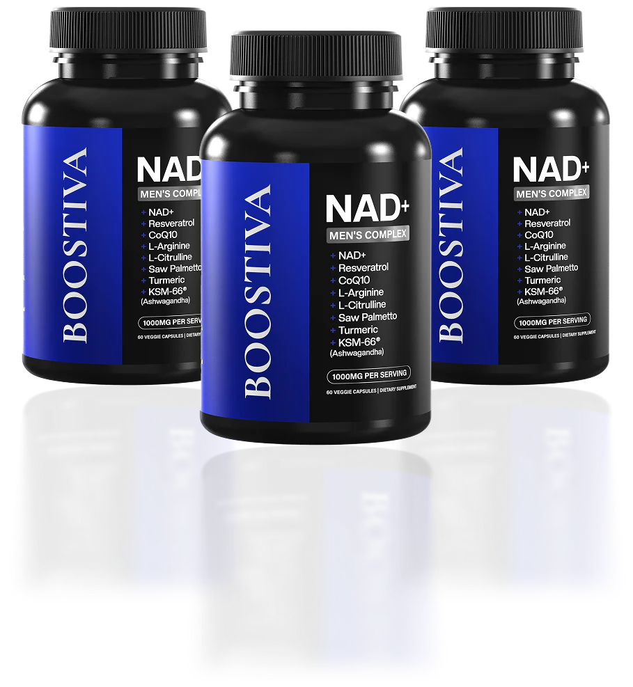 Elevate Your Everyday Lifestyle